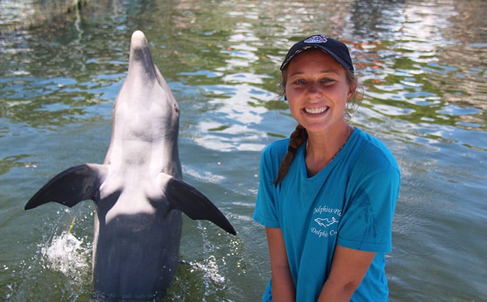 Dolphin Care Internship in Key Largo | Dolphins Plus